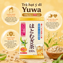 Trà hạt ý dĩ Yuwa không chứa caffeine, giúp thanh nhiệt cơ thể gói 60 túi lọc